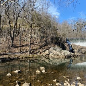 Meet your Posher, Liliana